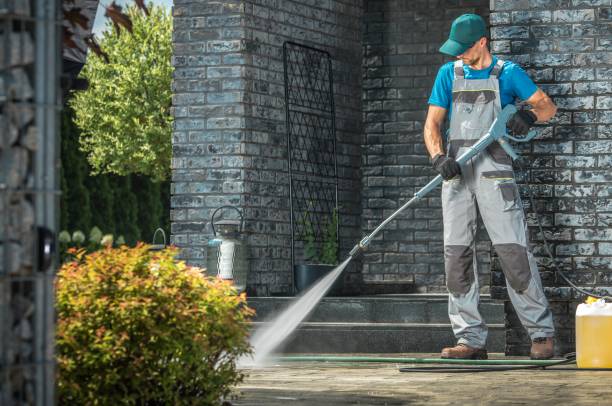 Best House Exterior Washing  in Le Roy, IL