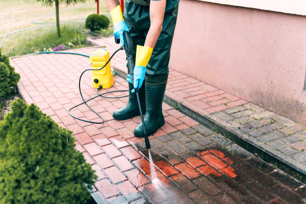 Best Warehouse Cleaning  in Le Roy, IL