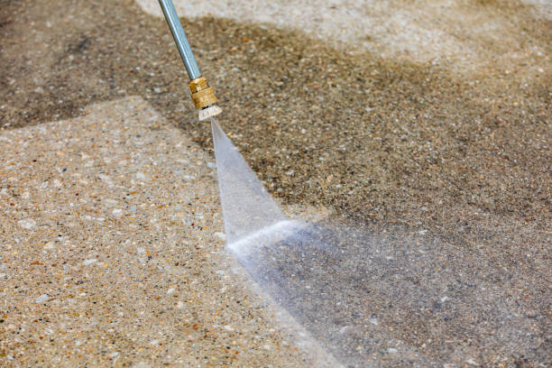Best Gutter Cleaning  in Le Roy, IL