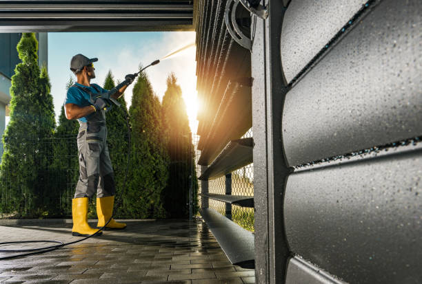 Best Fence Cleaning  in Le Roy, IL